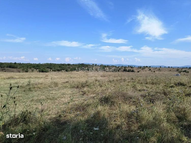 Teren intravilan langa padure - 3