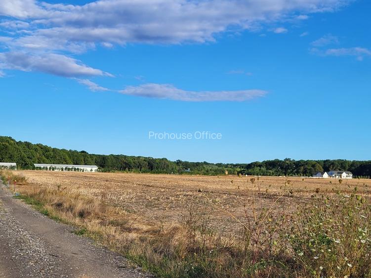 Oportunitate Unică! Teren de Vânzare aproape de Pădure – Ciolpani Izvorani - 5