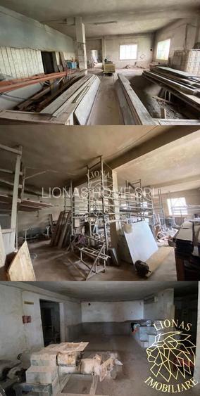 Business/Casa/Hala - 28 ari - Livezile- EXCLUSIVITATE - 6