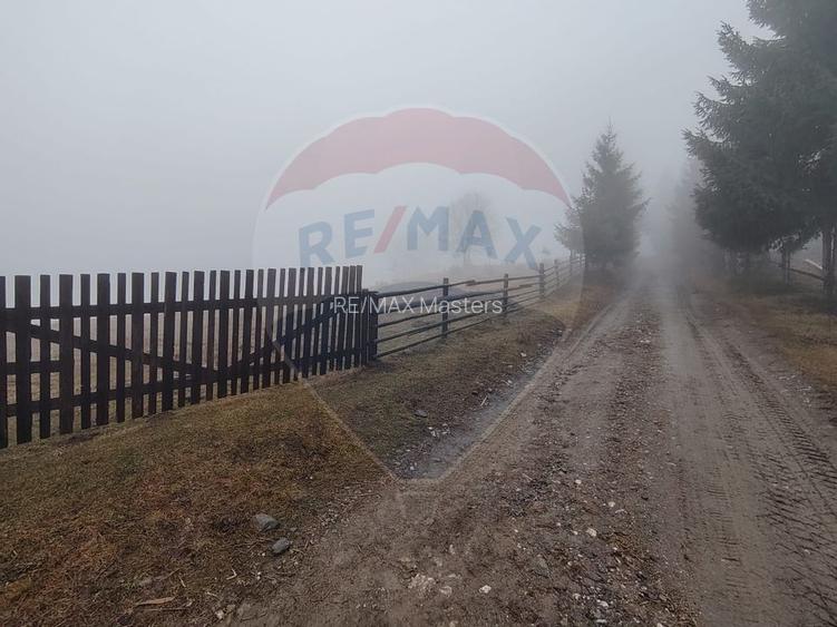 Teren INTRAVILAN 23.238m.p. Dorna-Arini / Cozănești - 3