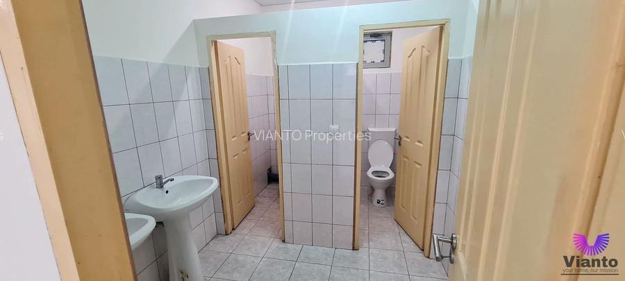 SPATIU COMERCIAL PARTER 2 CAMERE 130 MPU | NEPPENDORF TURNISOR - 9