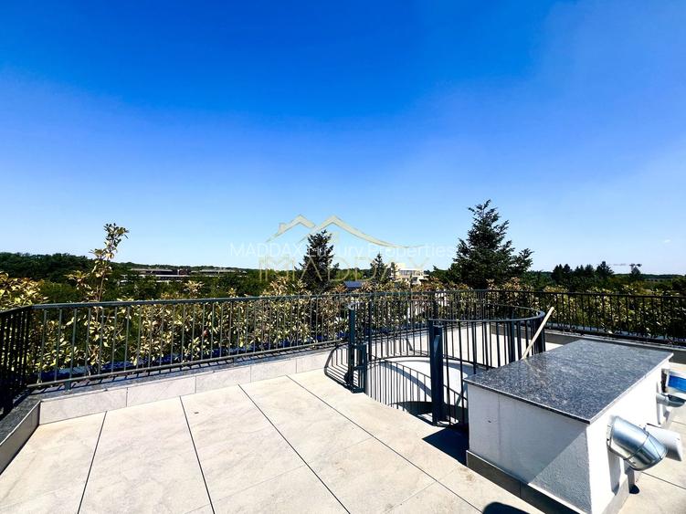 Apartament de Inchiriat | Iancu Nicolae | 154 mp | Terasa 150 mp | - 18