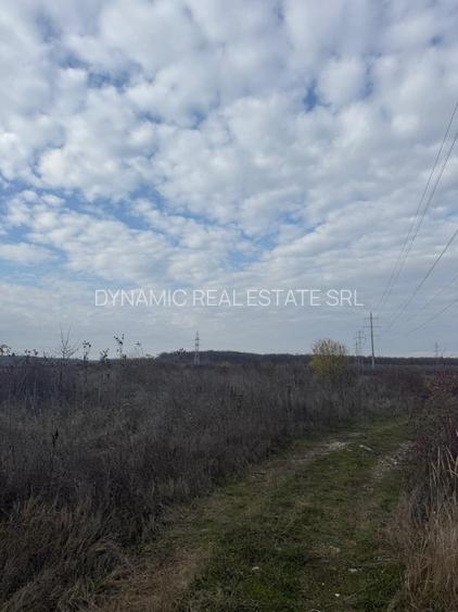 Targoviste - Teren 10ha - Posibilitate investitii - Parcelare - 2