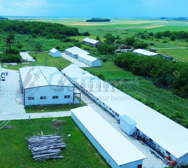 Hala de vanzare cu exclusivitate, la 24 km de Oradea, in Salard, Bihor - 3