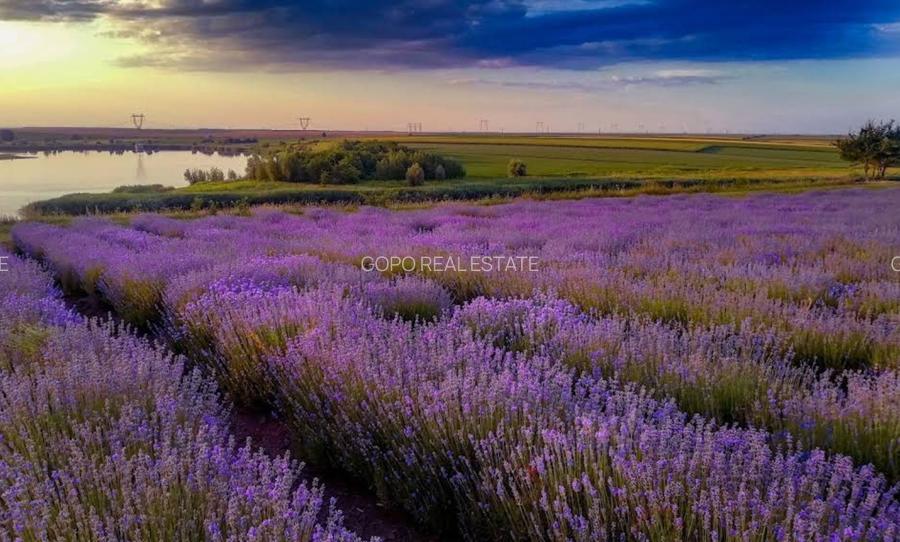 Teren 1001 mp intravilan Fundulea pe malul lacului - 6