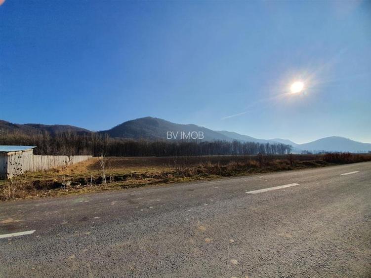 Vanzare Teren intravilan Str. Cucului, zona Bartolomeu 18600 mp - 2