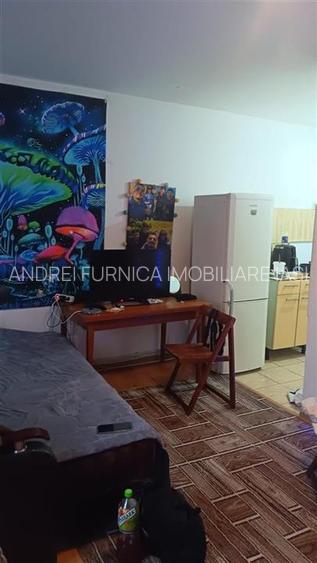 Apartament 1 camera zona Frumoasa - 7