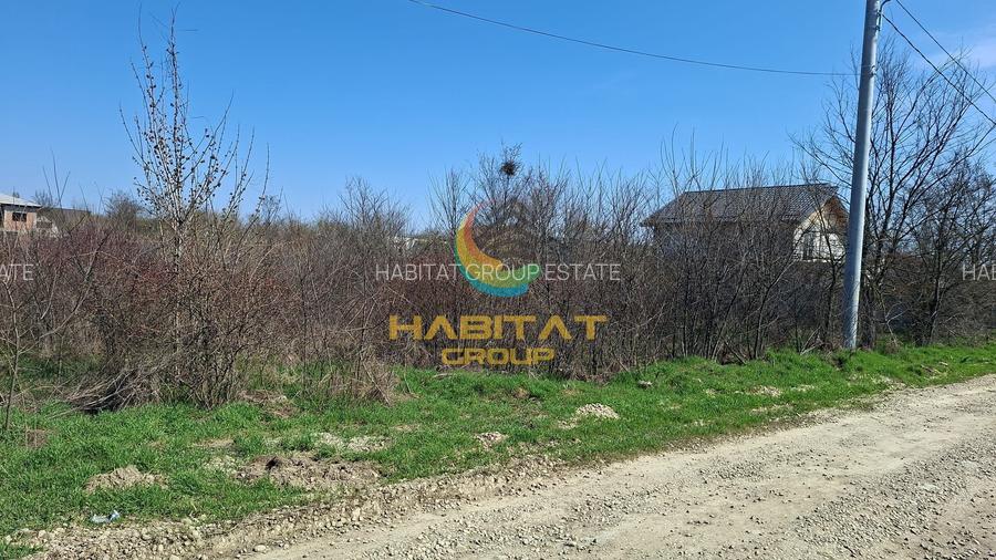 Magurele Campul Cu Maci Strada Trifoiului 1200.MP Teren Constructii Vile - 2