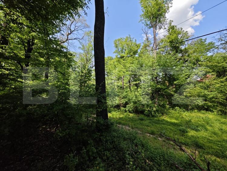 Casuta de vacanta in padure , zona Barnova  - 3