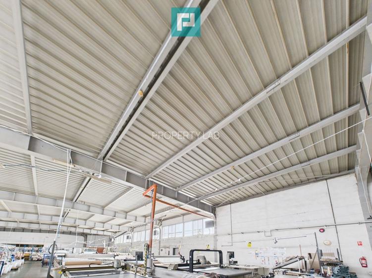 Hală cu teren intravilan de 3500 mp, în Sebiș Arad - 22