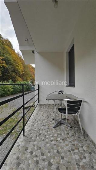 COMISION 0%, Vanzare Pensiune la cheie Muntii Apuseni - Valea Draganului - 41