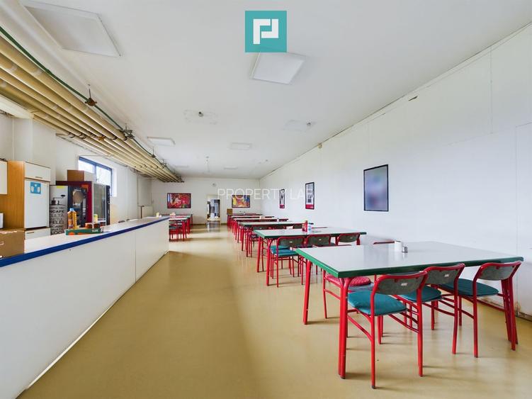 Spațiu Industrial și de Producție Sustenabil - 10