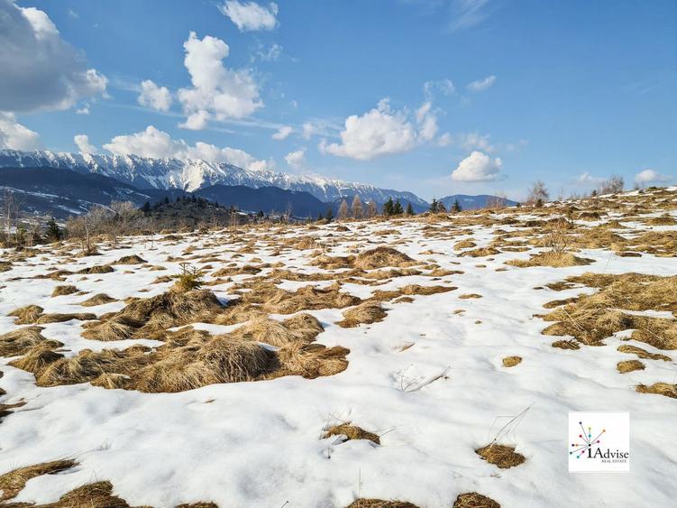 Teren De Vanzare In Sirnea - 6