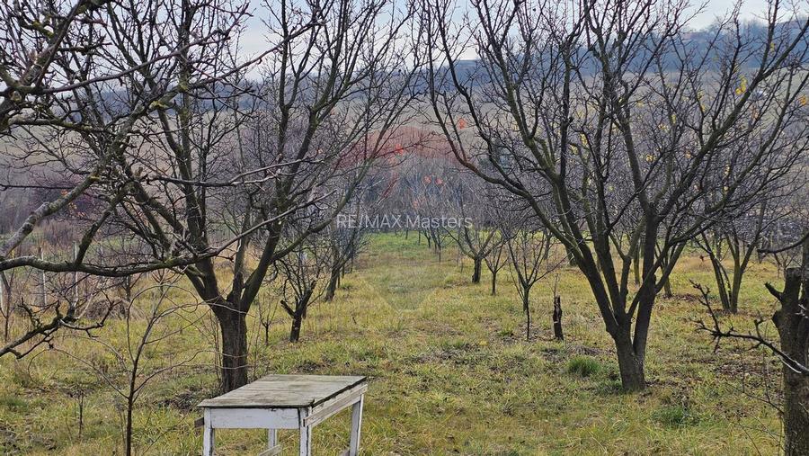 Teren extravilan 10,791mp Falticeni / Strada DJ209A, Opriseni - 17