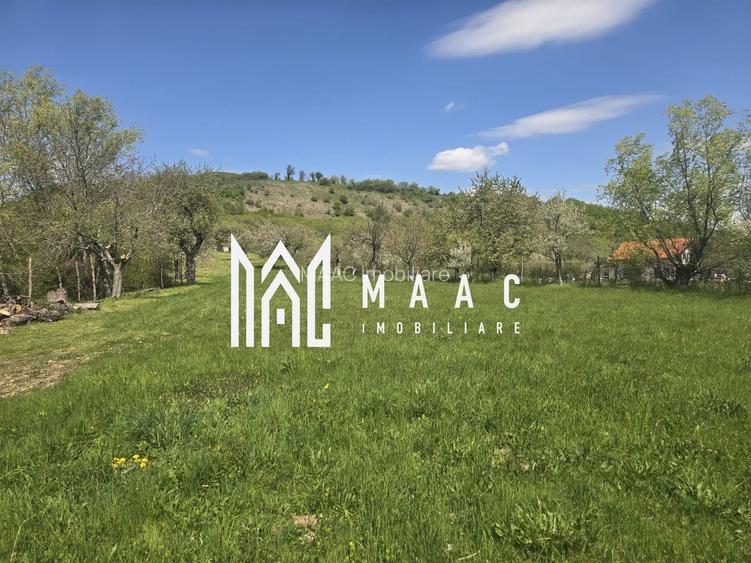 Teren 5400 mp superb cu livada si vedere spre munti Orlat - 5