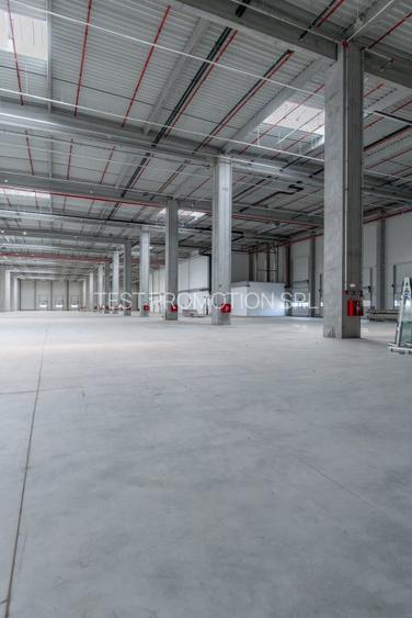 Spațiu industrial, 249500 mp în Chitila - 7