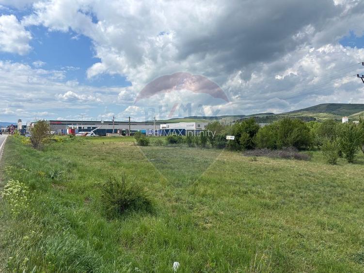 Teren de vanzare 13783mp, front la DN, parcela unica zona de vest - 3