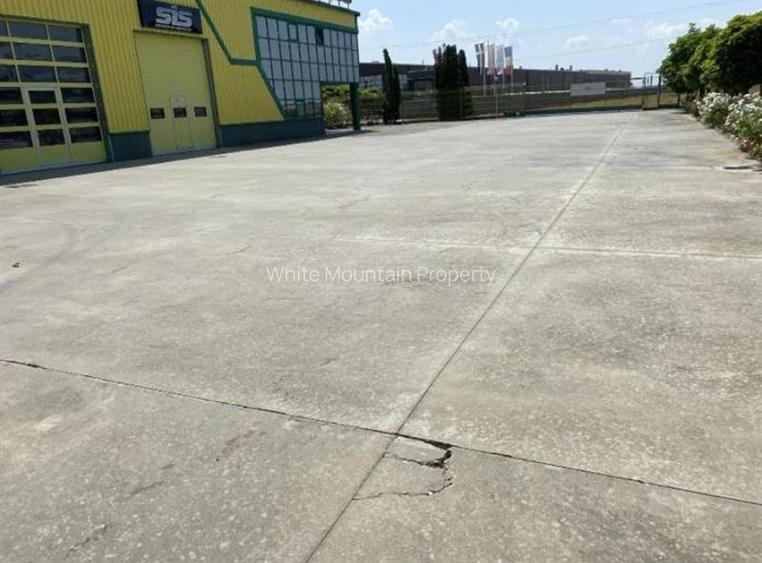 Pecica, 12000 mp platforma, inchiriere lunga durata, - 13