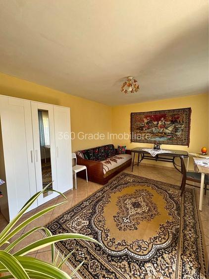 Inchiriere 2 apartamente cu 1 camera, 250 euro Buziasului - 2