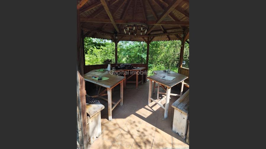 Vila superba 7 camere, Provita de Jos, 22.000 mp teren - 23