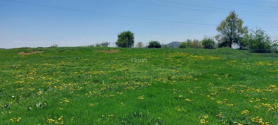 Teren Campina varful Muscel - 2