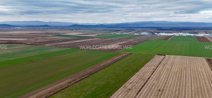 Teren Prejmer - Parc industrial - 5