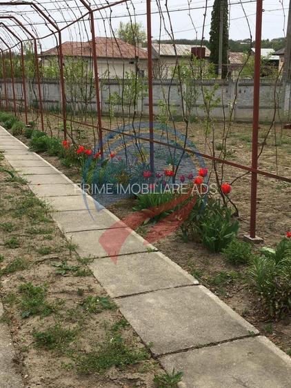Casa de vanzare/Balcesti/Valcea/Str Pietii - 21
