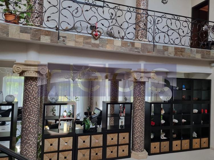 INCHIRIERE SPATIU COMERCIAL-2 VILE | ZONA MOGOSOAIA - 55