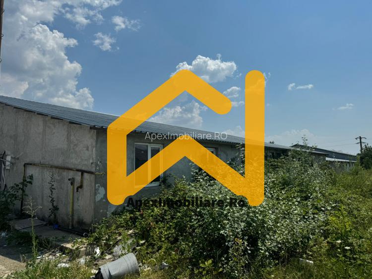 Hale Industriale de Vânzare Baicoi – 1100 mp + 800 mp, teren 5500 mp - 5
