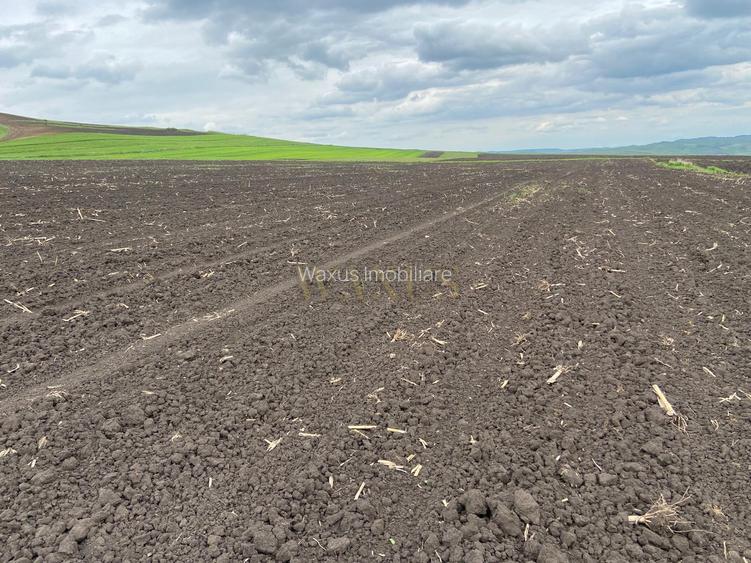 Teren extravilan, 10.200mp, Țagu - 2