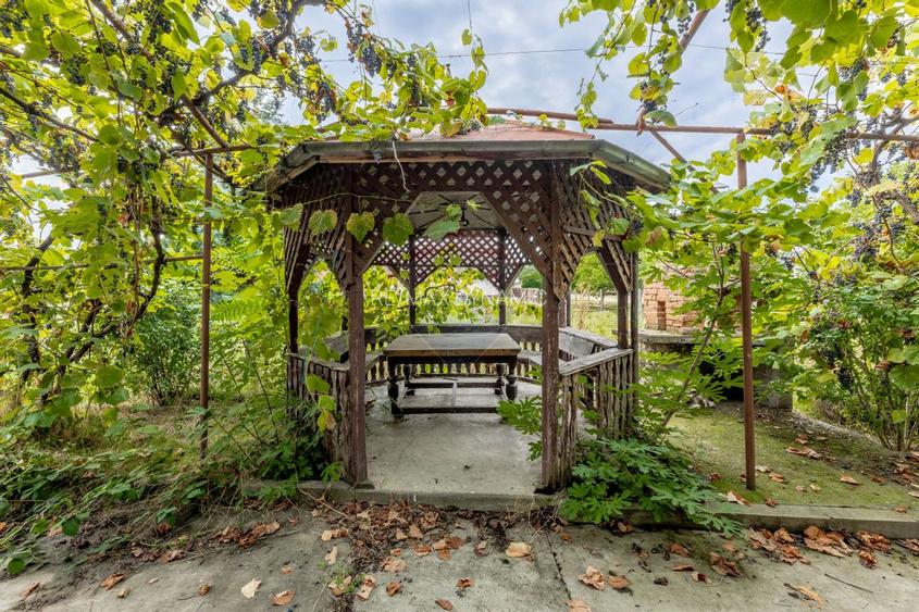 Casa spatioasa in Pancota ideala pentru doua familii - 20