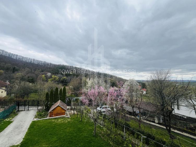 Casă de vacanță în Tocile - 18