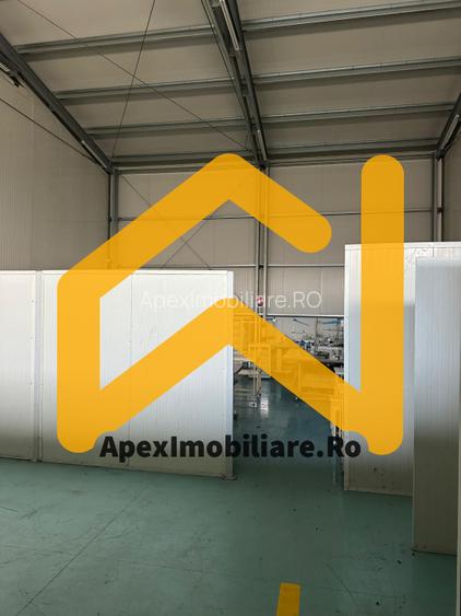 Hala Industrială Malu Rosu Ploiesti 550 mp + Birouri | Parcare 20 | Acces TIR | - 15
