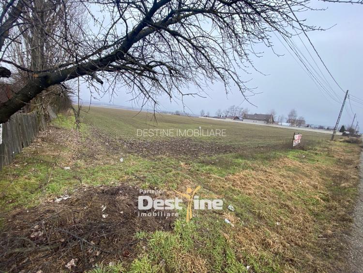 Teren de vanzare Girov- Doina 7200MP 140000 - 2