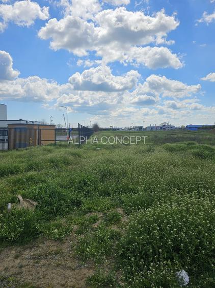 TEREN IDEAL INVESTITIE - PALAS - 2