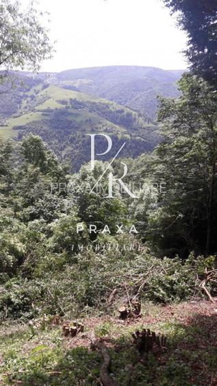 Teren de vanzare 10.000 mp/ parcelabil, cu utiitati, 4 euro/ mp! Maguri Racatau! - 17