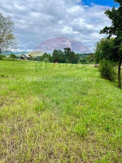 Teren 1,884mp Berbesti / Drumul secundar - 2