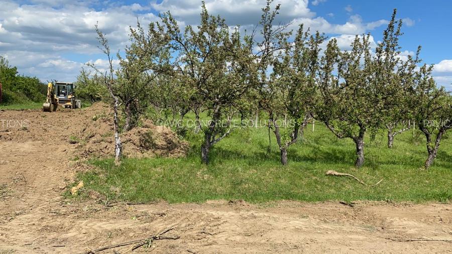 Loturi de teren ! - 7