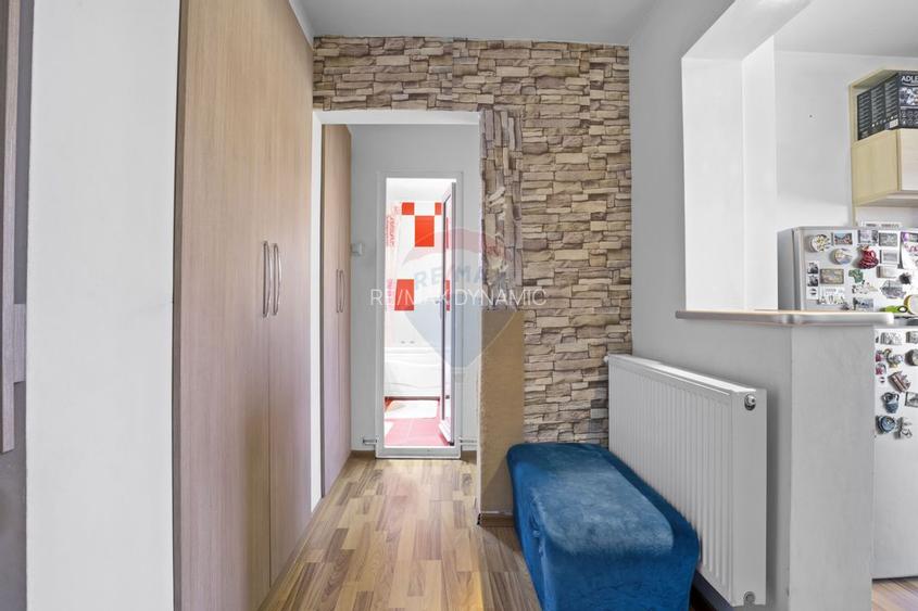 Apartament cu 2 camere decomandat de vanzare in zona 300 Arad - 9