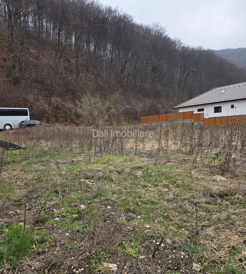 Teren intravilan intre case în Bunloc, lângă pădure – 604 mp - 7