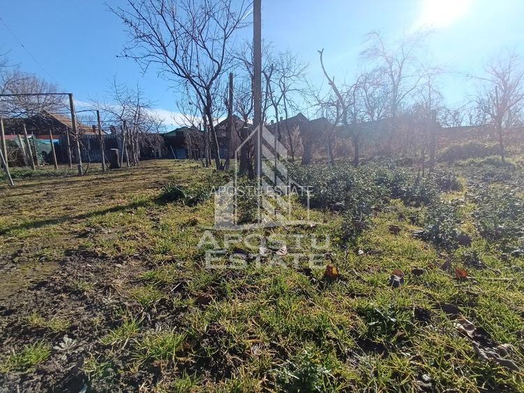 Casa individuala cu teren generos 2158mp, front 12m, livada, Freidorf - 11