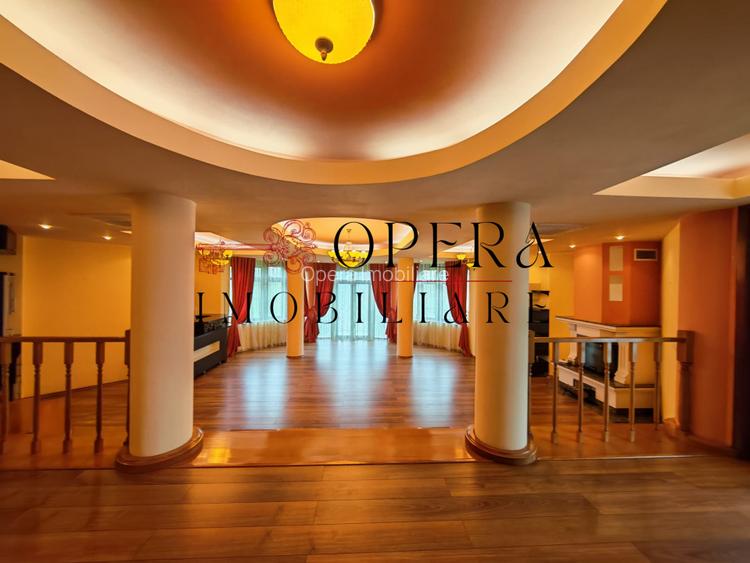 Vila individuala deosebita, de vanzare, zona Popas Pacurari - 2