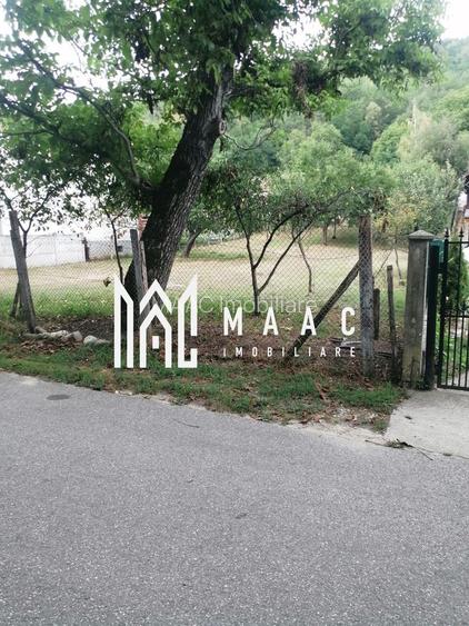 Teren Intravilan 10.000 mp | Livadă + Pădure de salcâm | Bărbătești - 5