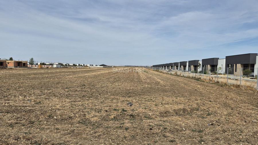 Teren intravilan 16.248 mp - Domnesti - 5