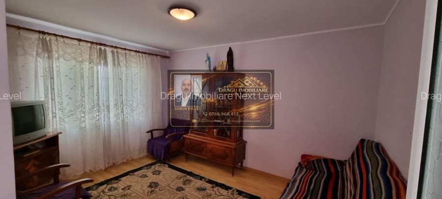 Casa Paunesti/Viisoara/Vrancea/Teren 969 mp - 6