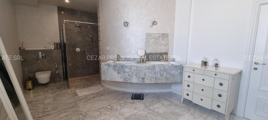 PIPERA IANCU NICOLAE VILA LUX RENOVATA COMPLET 2022 - 61