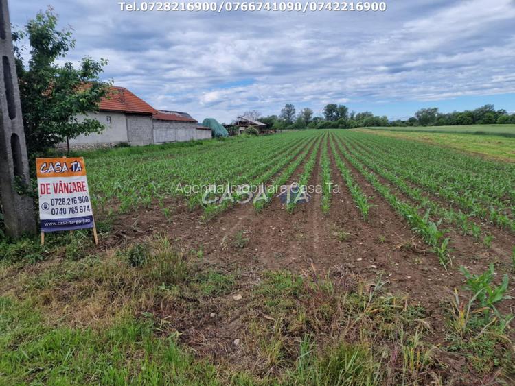 Teren Intravilan (7500 mp),situat in Balesti - Tamasesti - 2