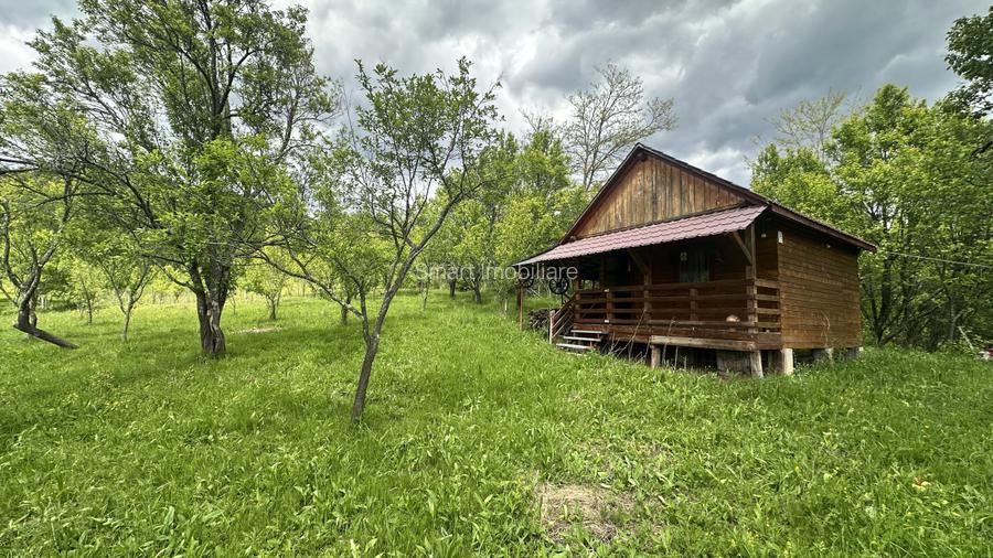 Teren intravilan 3102mp zona Racovita-Blanoiu - 2