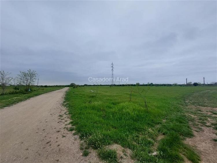 Teren intravilan cu potential multiplu! - 5