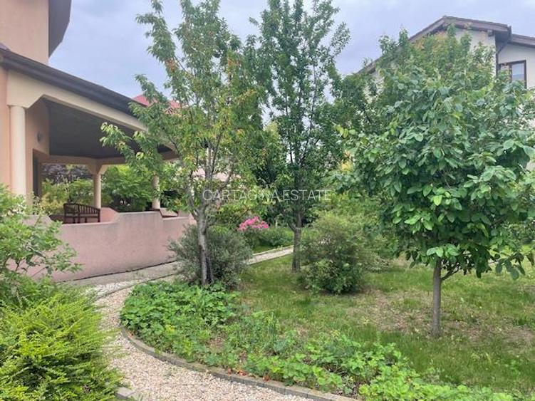 VILA INDIVIDUALA   P+1   PIPERA   DRUMUL BISERICII   1350MP TEREN - 6